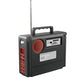 GENERADOR SOLAR CAFINI