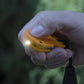 HERRAMIENTA DE SUPERVIVENCIA SMITH'S POCKET PAL 50364